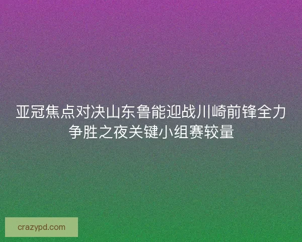 亚冠焦点对决山东鲁能迎战川崎前锋全力争胜之夜关键小组赛较量